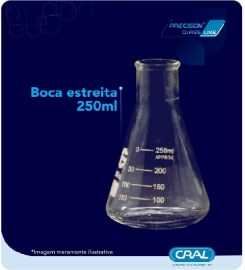 Erlenmeyer De Vidro Boca Estreita - 250 Ml - Cral